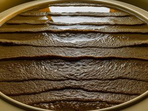 Sludge Profiling